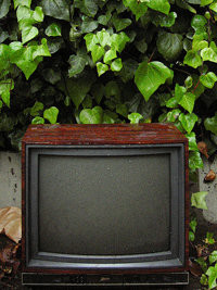 20070411104441-tele.jpg